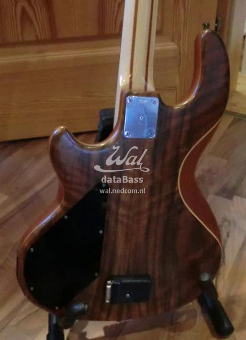 W3545.body-rear.jpg