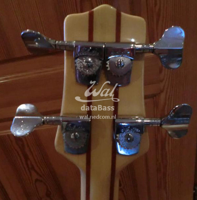 W3545.headstock-rear.jpg