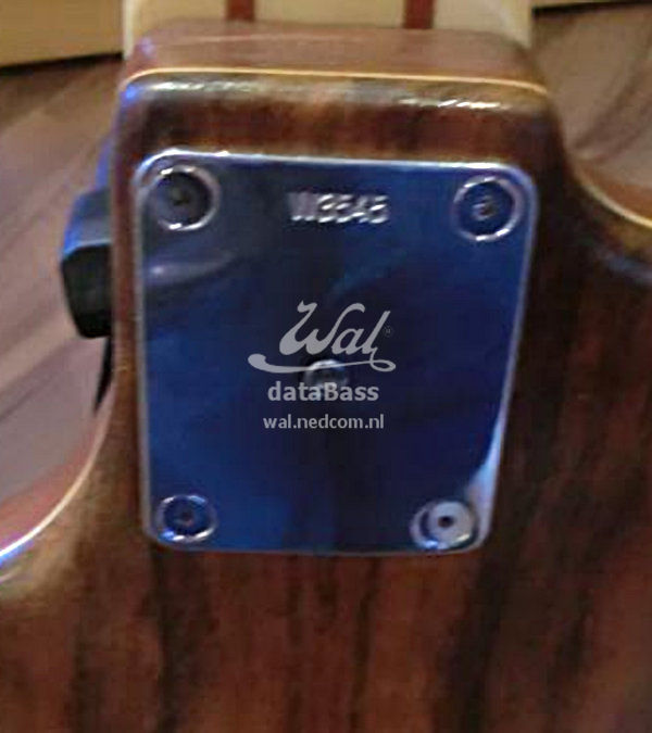 W3545.neckplate.jpg