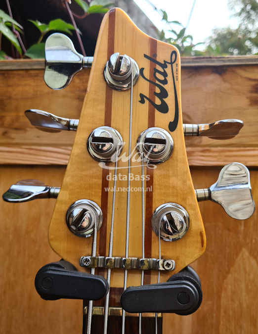 W3574.headstock-front.jpg