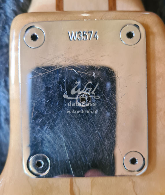 W3574.neckplate.jpg