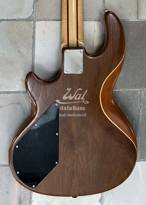 W3637.body-rear.jpg