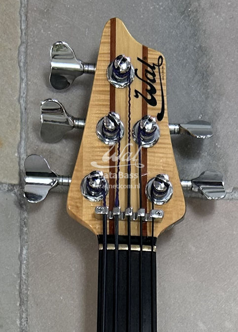 W3637.headstock-front.jpg