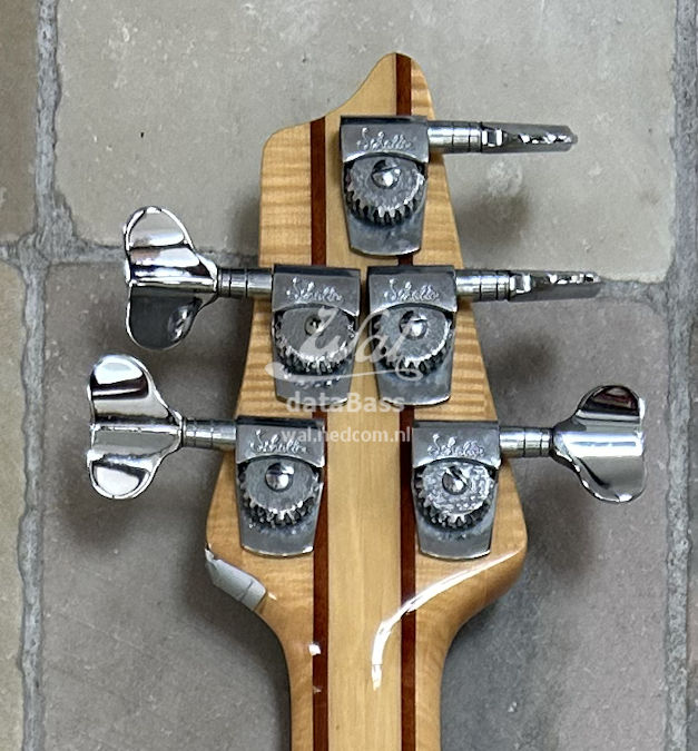 W3637.headstock-rear.jpg