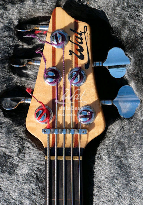 W3644.headstock-front.jpg