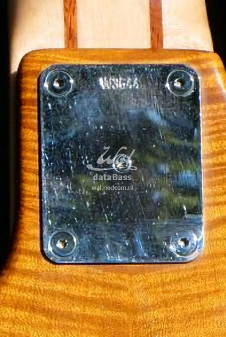 W3644.neckplate.jpg