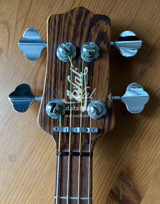 W3672.headstock-front.jpg
