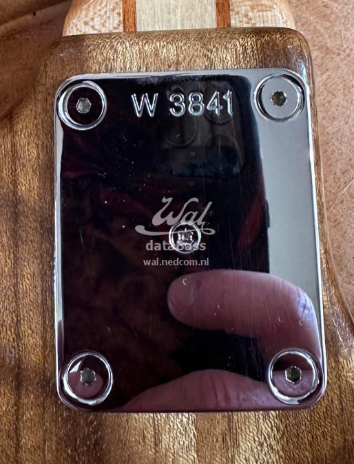 W3841.neckplate.jpg