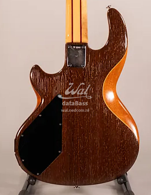 W3910.body-rear.jpg