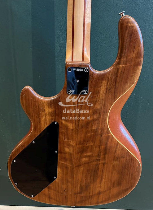 W3983.body-rear.jpg