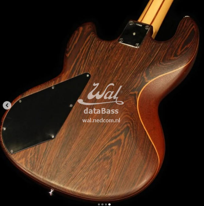W3xxx.body-rear.jpg