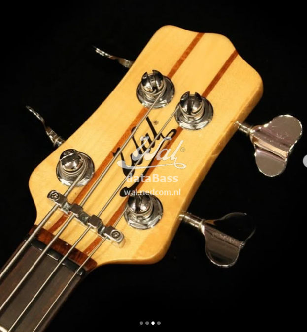 W3xxx.headstock-front.jpg