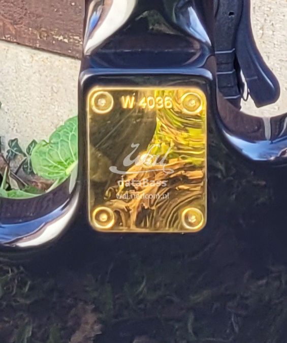 W4036.neckplate.jpg