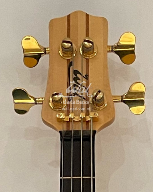 W4147.headstock-front.jpg