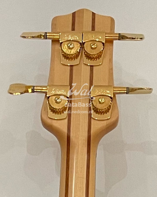 W4147.headstock-rear.jpg