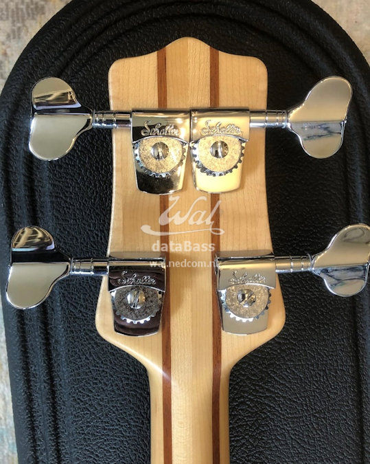 W4202.headstock-rear.jpg