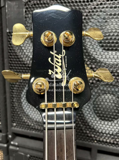 W4250.headstock-front.jpg