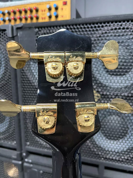 W4250.headstock-rear.jpg