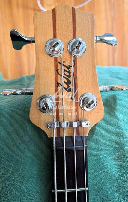 W4254.headstock-front.jpg