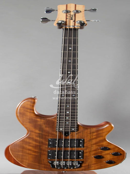 W4289..jpg