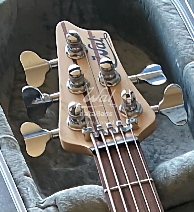 W4310.headstock-front.jpg