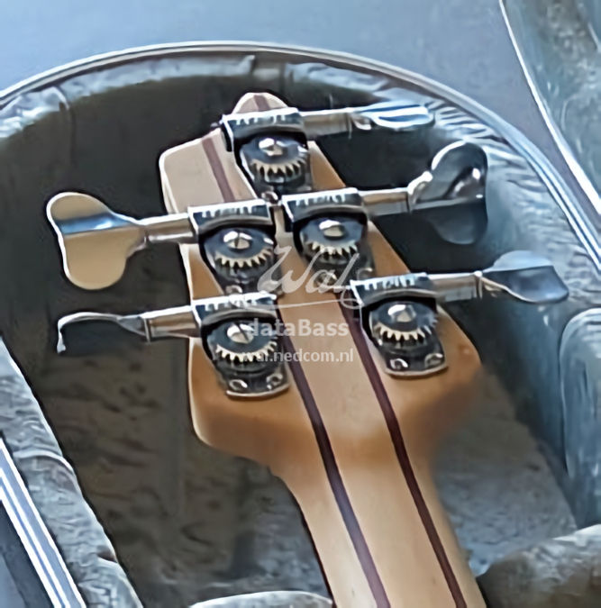 W4310.headstock-rear.jpg