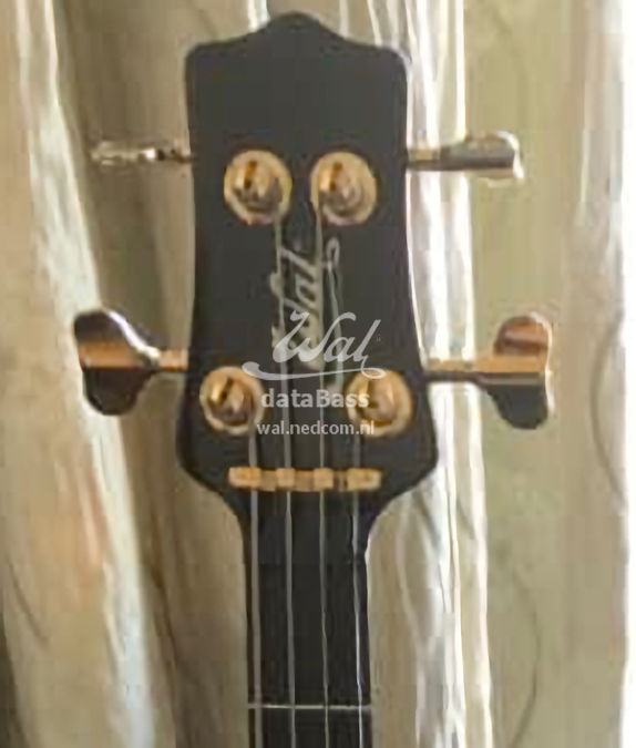 W4313.headstock-front.jpg