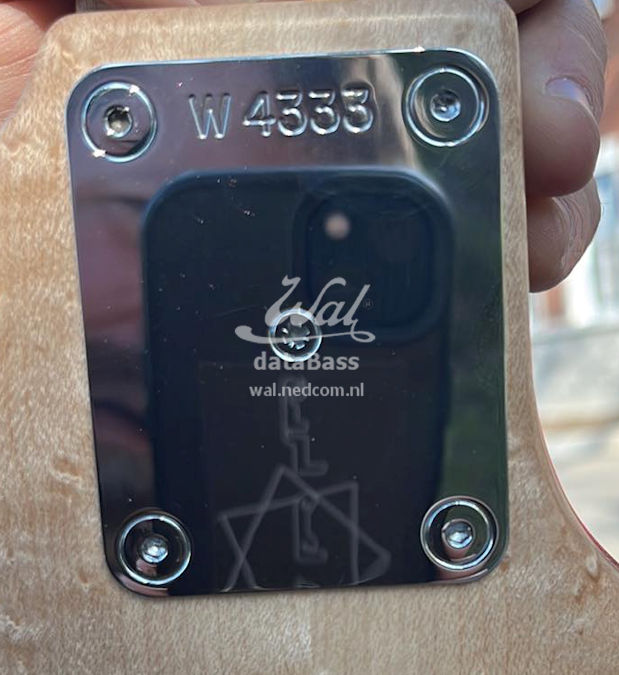 W4333.neckplate.jpg
