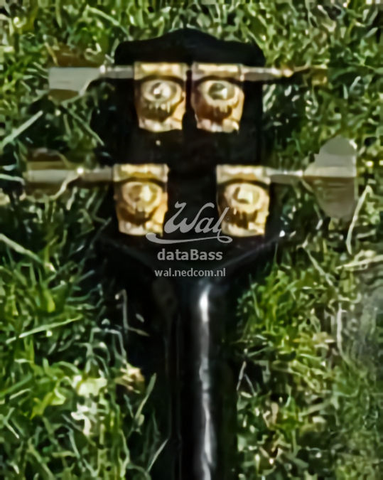 W4336.headstock-rear.jpg