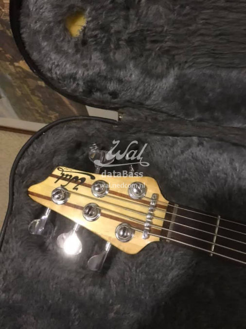 JP1118.headstock.jpg