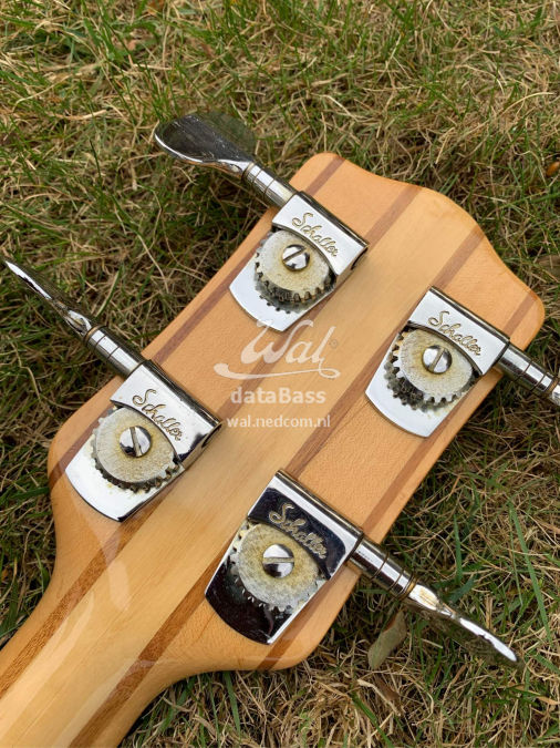 KB1.headstock-rear.jpg