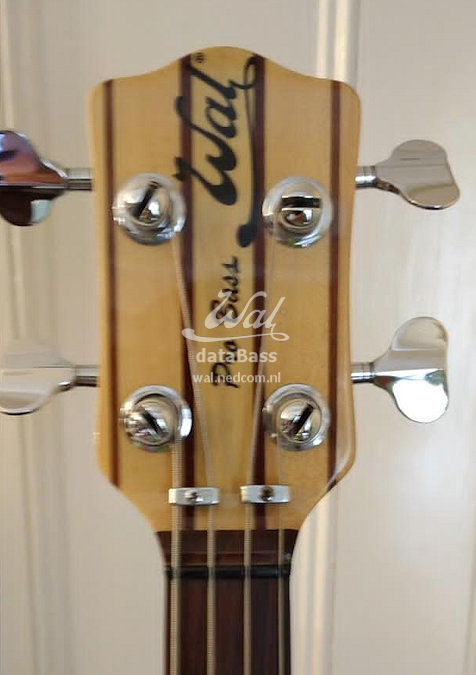 PB1135.headstock-front.jpg