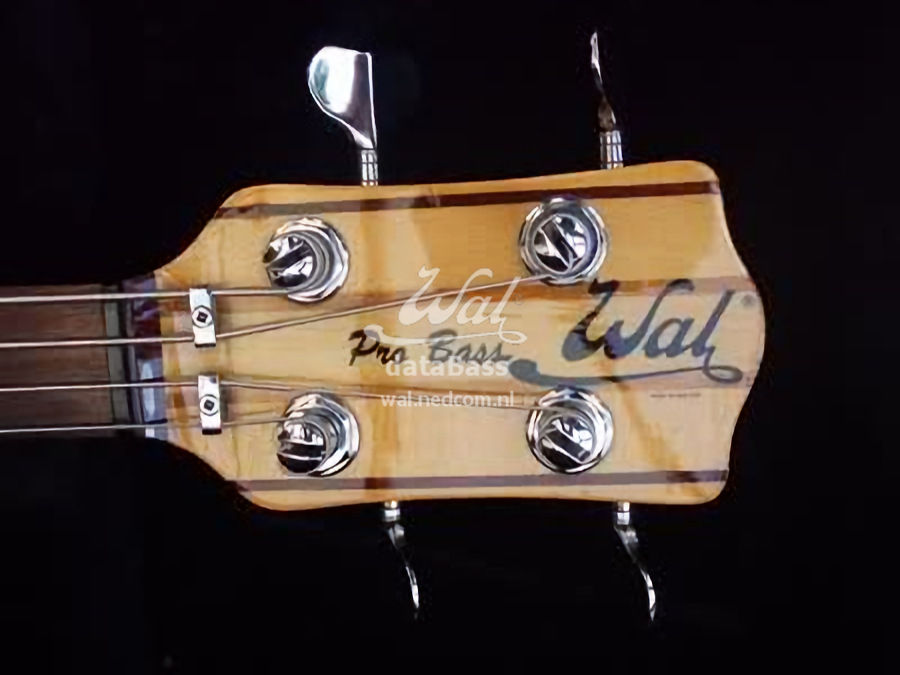 PB1160.headstock.jpg