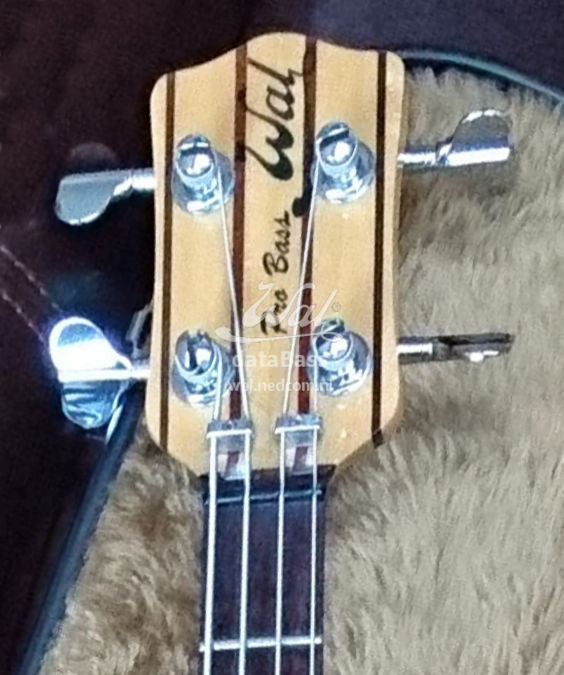 PB1238.headstock-front.jpg