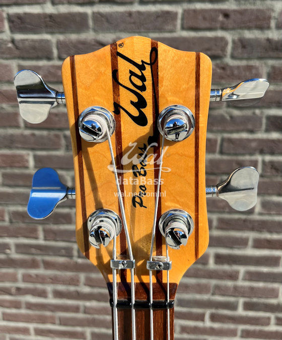 PB1245.headstock-front.jpg