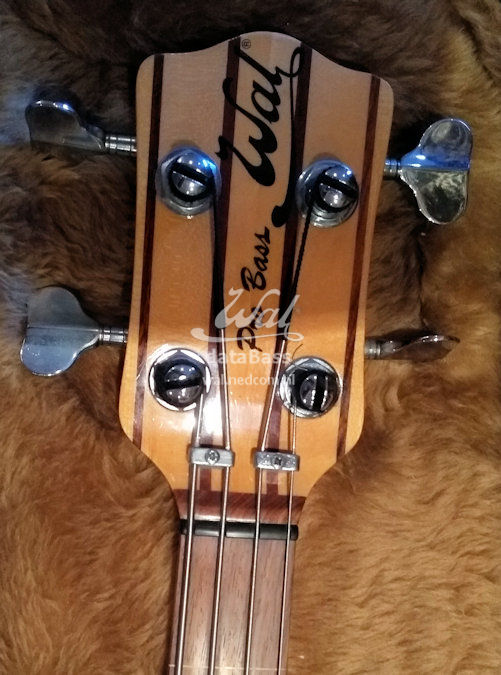 PB1287.headstock-front.jpg