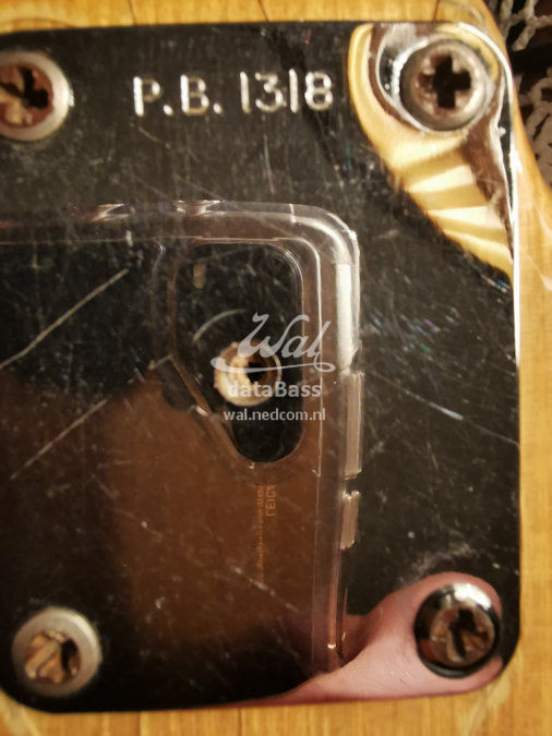 PB1318.neckplate.jpg