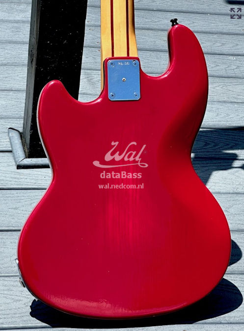 PB1361.body-rear.jpg