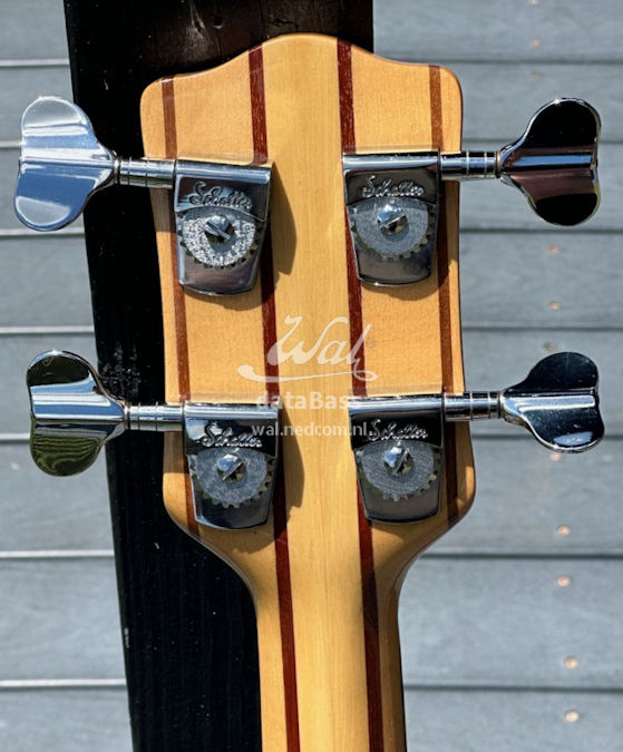 PB1361.headstock-rear.jpg