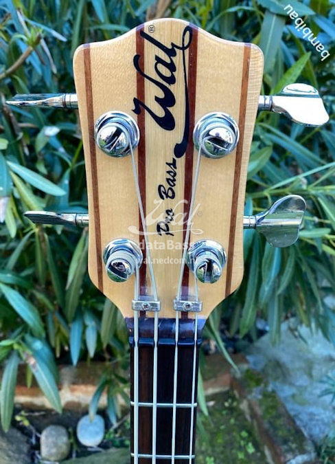 PB1561.headstock-front.jpg