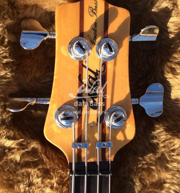 PB1572.headstock.jpg