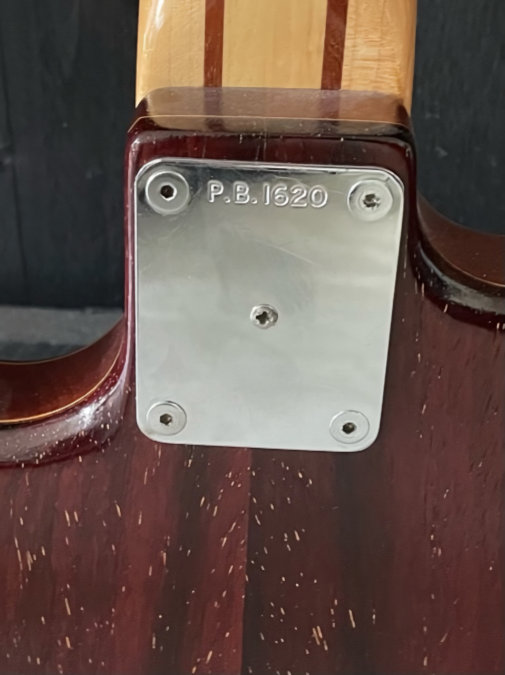 PB1620.neckplate.jpg