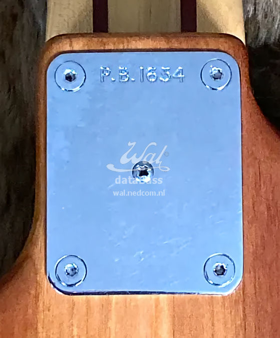 PB1634.neckplate.jpg