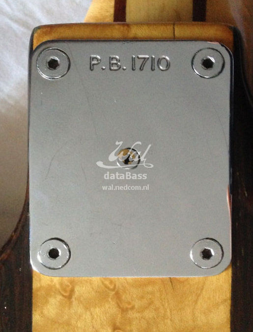 PB1710.neckplate.jpg