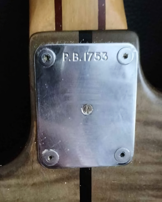 PB1753.neckplate.jpg