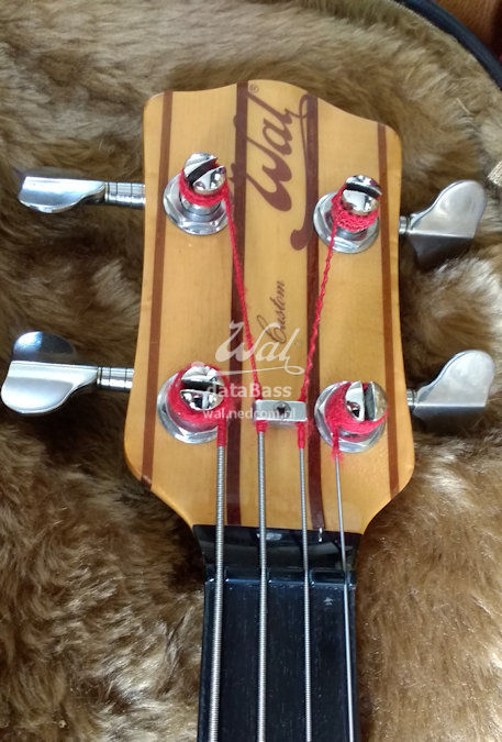 PB1813.headstock-front.jpg