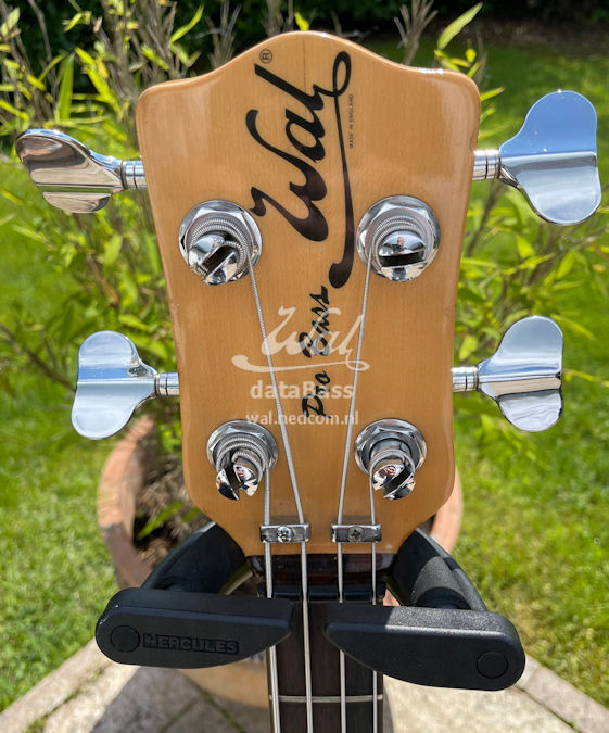 W1120.headstock-fronnt.jpg