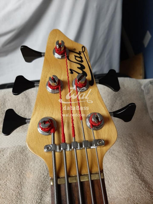 W12397.headstock-front.jpg