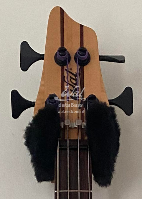 W140211.headstock-front.jpg