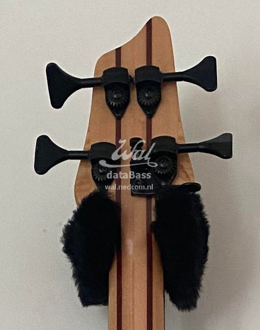 W140211.headstock-rear.jpg